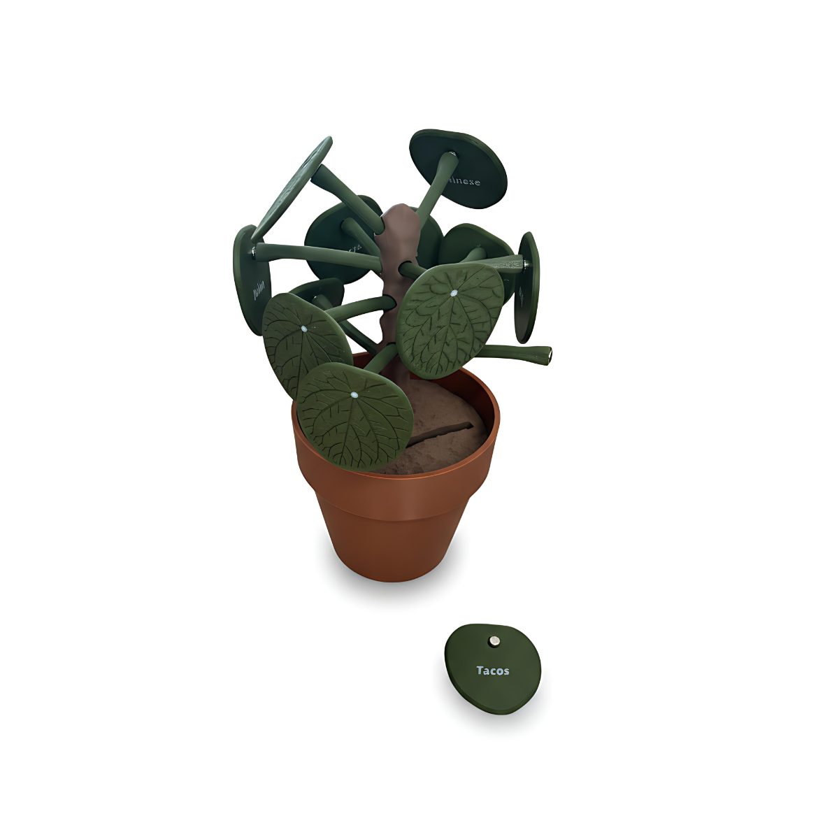 Untitled Project - illustrationImage (10)