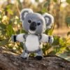 animal-koala-scene Κοάλα