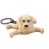animal-koutavi-labrador-main Λαμπραντόρ
